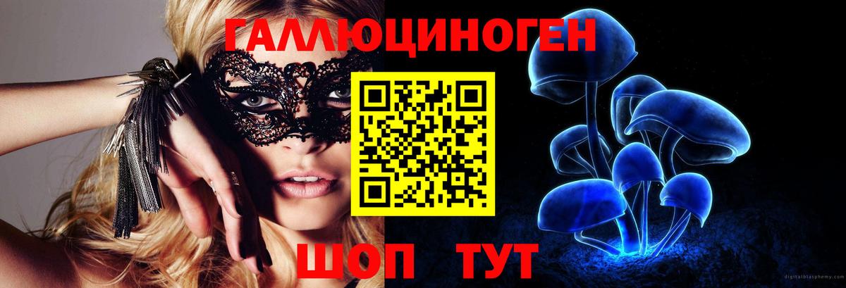 Псилоцибиновые грибы Cubensis Черногорск