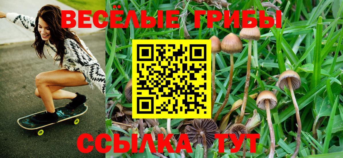 Черногорск  Галлюциногенные грибы GOLDEN TEACHER  как найти закладки  Вход с VPN 